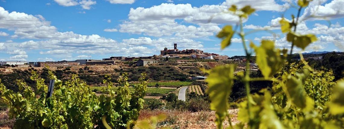 Apartaments Rurals Cal Parro, Batea Buitenkant foto